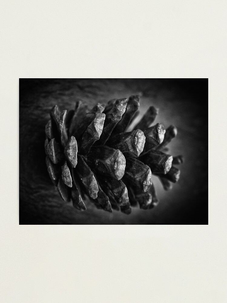 Thumbnail 1 of 3, Photographic Print, Untitled designed and sold by FrankThomas.
