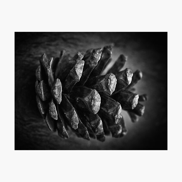 Photographic Print
