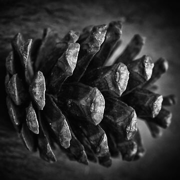 Artwork thumbnail, Untitled by FrankThomas