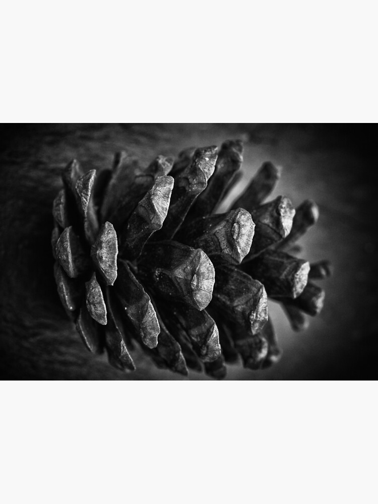 Untitled by FrankThomas