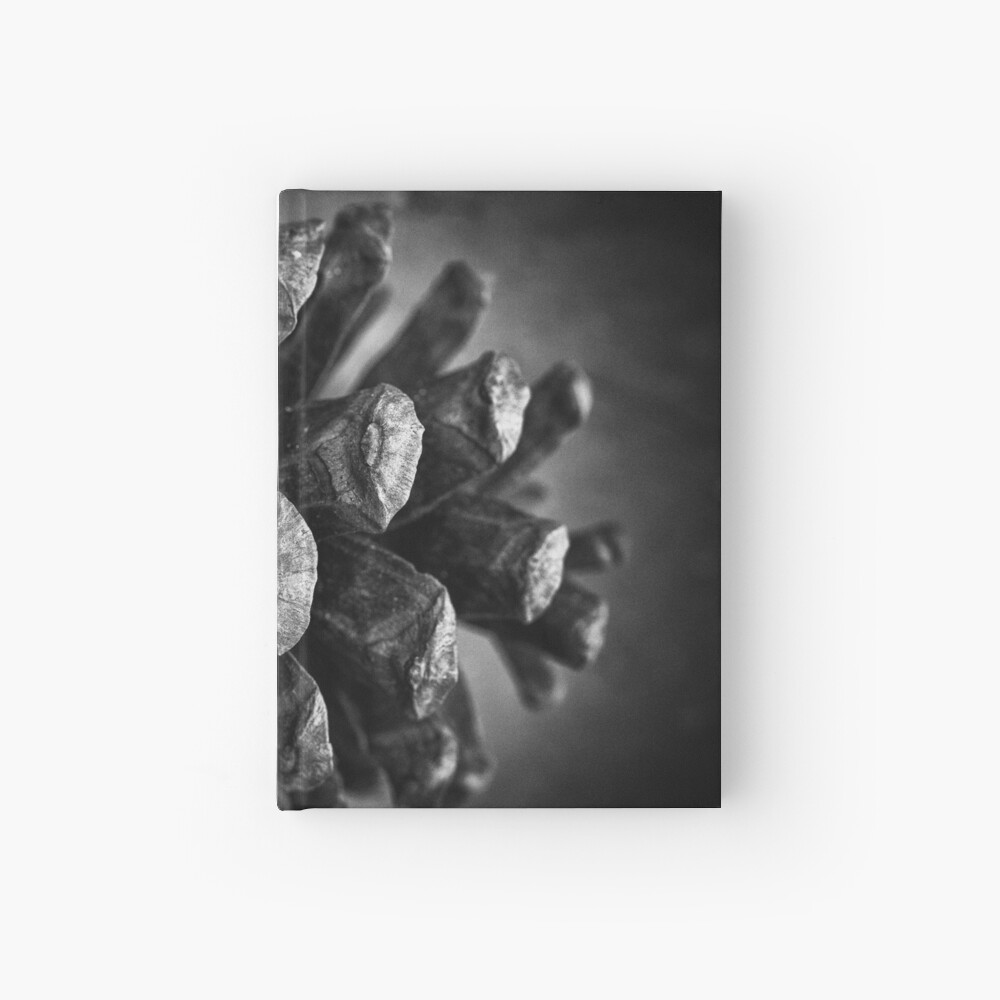 Untitled Hardcover Journal