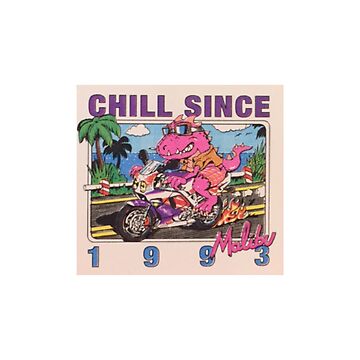 CHILL SINCE '93 - Chill Since '93