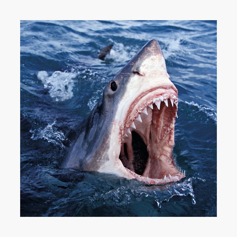 CONWAY & THE ALCHEMIST / LULU CD｜Conway, Alchemist – LULU – Vinyl