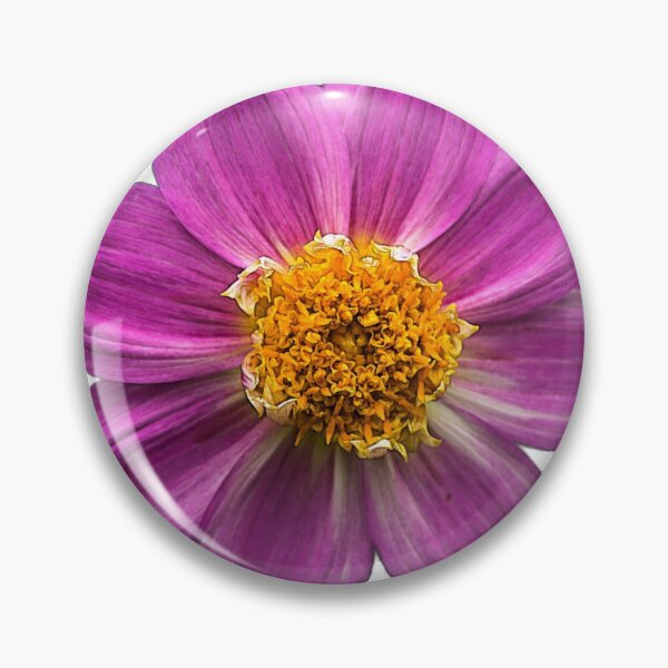 Artikelvorschau, Rosa Kosmosblume entworfen und verkauft von habilephoto.