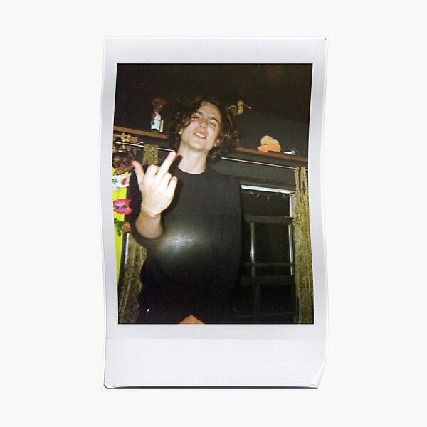 Timothée Chalamet Polaroid Poster