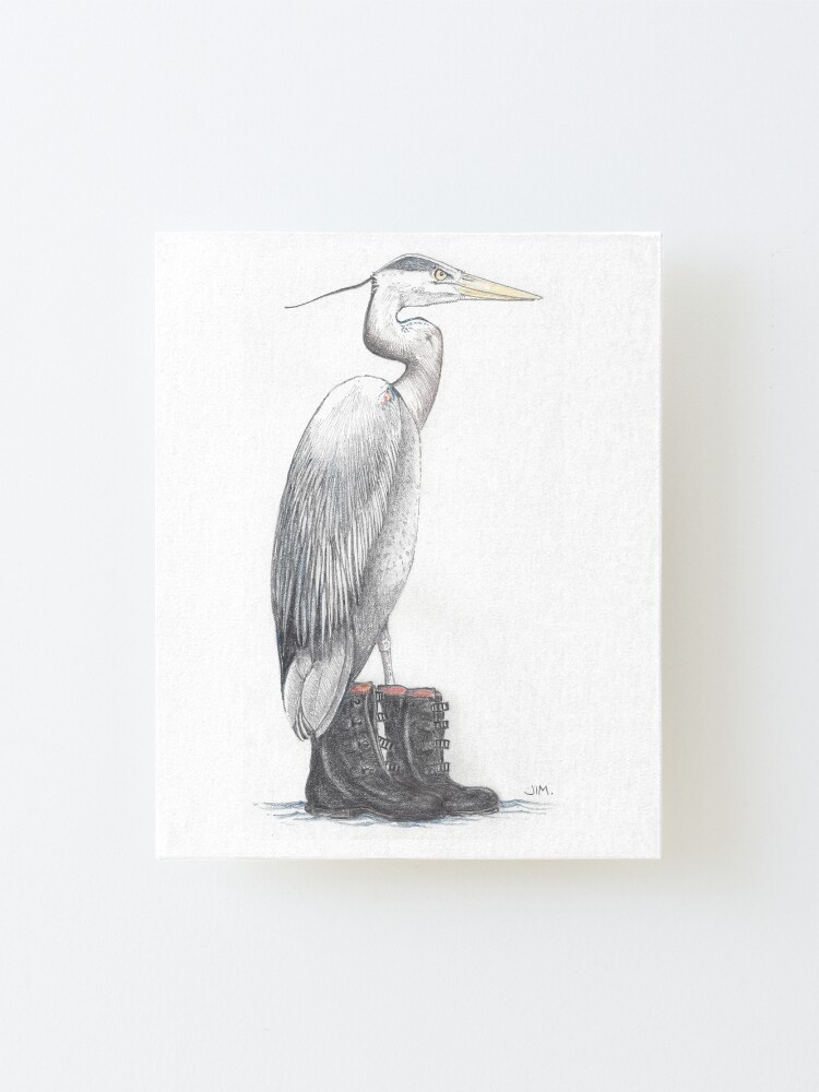 Alternate view of Great blue heron in galoshes Mounted Print