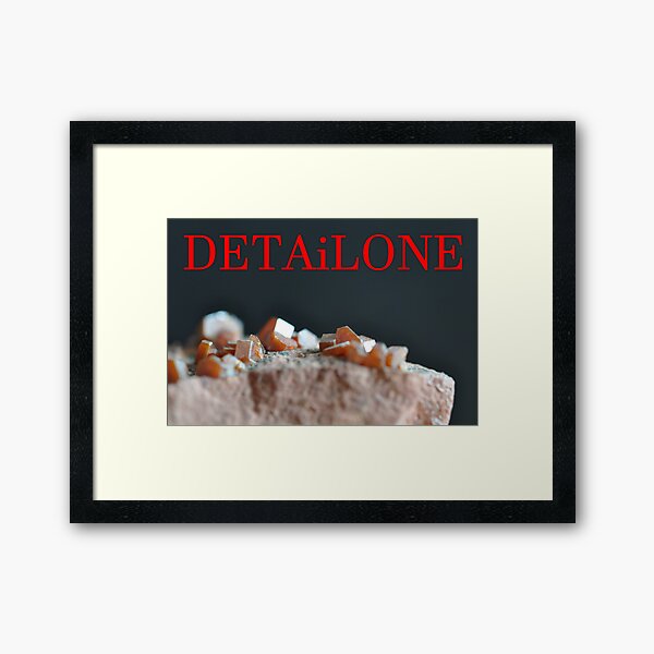 Detailone sticker Framed Art Print