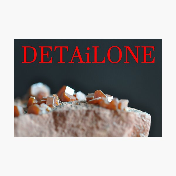 Detailone sticker Photographic Print