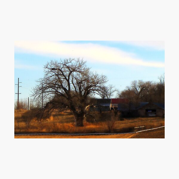 Item preview, Annie's Tree....Bare  designed and sold by Diane Arndt.
