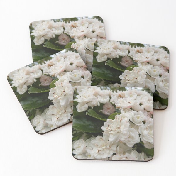 Item preview, English Hawthorn Blossoms 1 designed and sold by MintyRoseGalaxy.