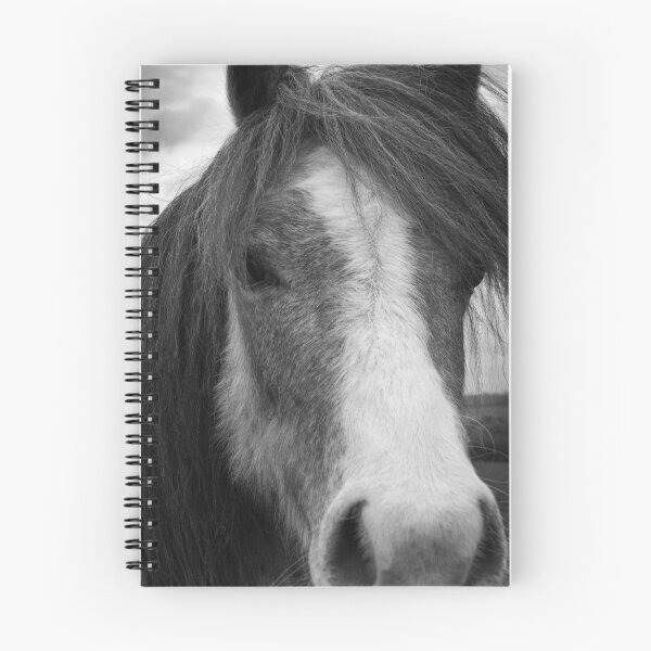 Item preview, My Little Pony  (6-45) designed and sold by Raymond Kerr.