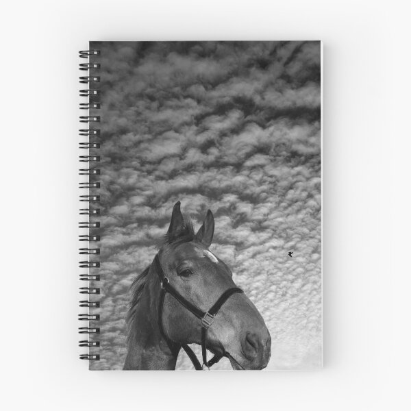 Item preview, "Emilys' Horse" designed and sold by Raymond Kerr.