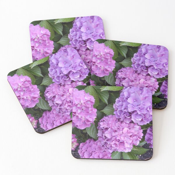 Item preview, Purple Hydrangeas 1 designed and sold by MintyRoseGalaxy.