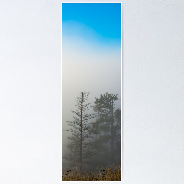 Addies Posters For Sale | Redbubble