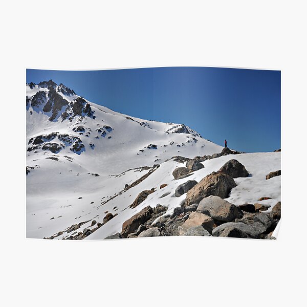 Lone Viewer Poster