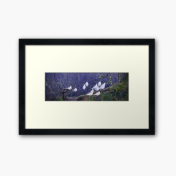 Edge of the Forest Framed Art Print