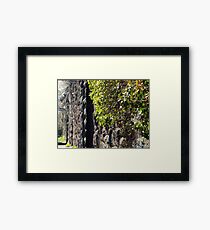 Harsimus Branch Embankment, Abandoned Pennsylvania Railroad Embankment, Jersey City, New Jersey Framed Print