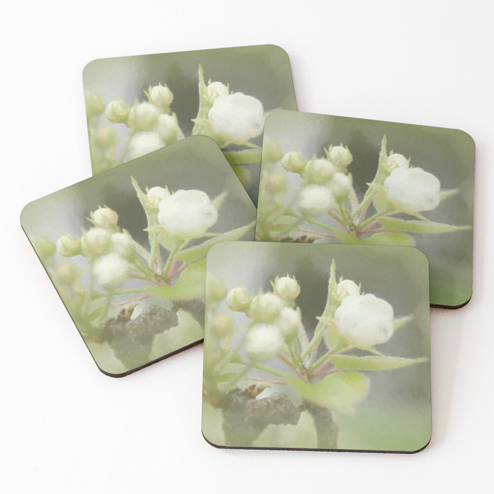 Item preview, Coasters (Set of 4) designed and sold by MBoothny.
