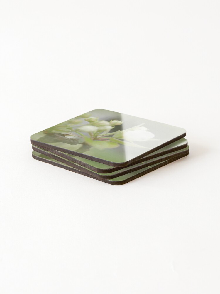 Thumbnail 4 of 5, Coasters (Set of 4), Spring flowers designed and sold by MBoothny.