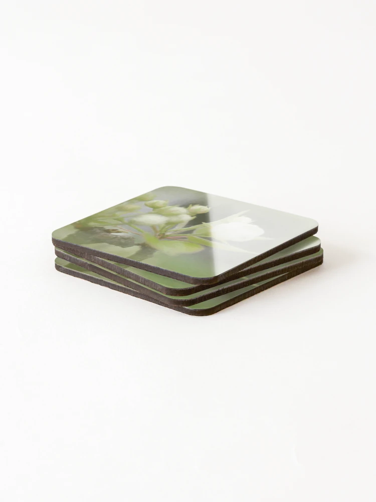 Thumbnail 4 of 5, Coasters (Set of 4), Spring flowers designed and sold by MBoothny.