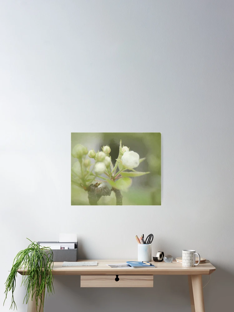 Thumbnail 2 of 3, Poster, Spring flowers designed and sold by MBoothny.