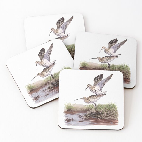 Item preview, Slender-billed Curlew pair designed and sold by kokayart.