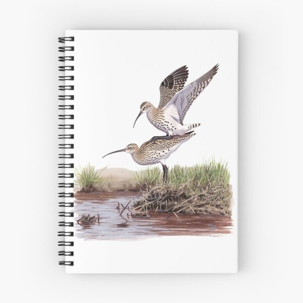 Item preview, Slender-billed Curlew pair designed and sold by kokayart.