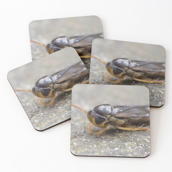 Item preview, Water Boatmen designed and sold by LaurenTucker.