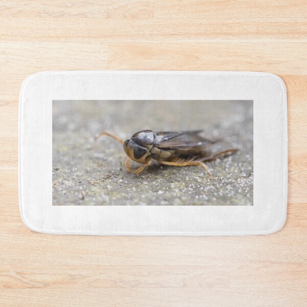 Item preview, Water Boatmen designed and sold by LaurenTucker.