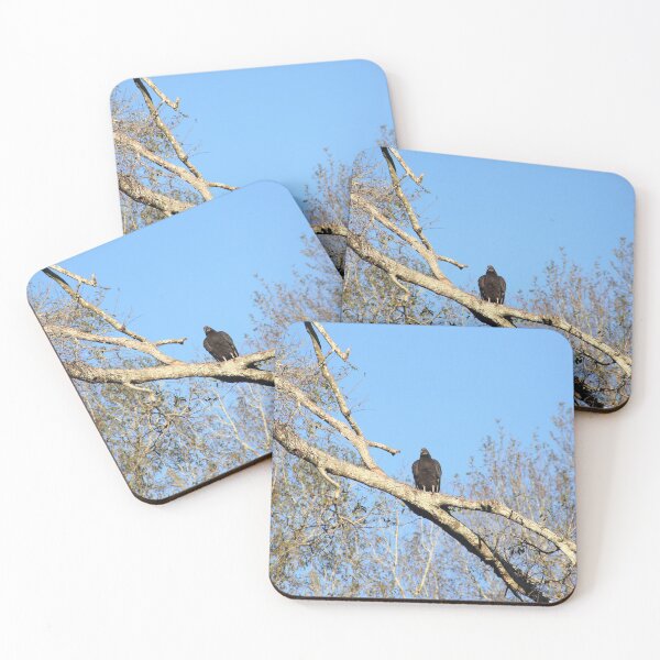 Item preview, Black vultures in park designed and sold by zumi.