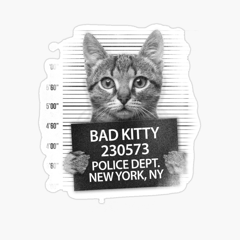 Judgy Kitty Funny Cat Lover Angry Kitten Meme Cute Graphic Unisex