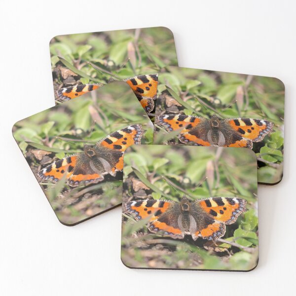 Item preview, Small tortoiseshell butterfly designed and sold by GreyFeatherPhot.