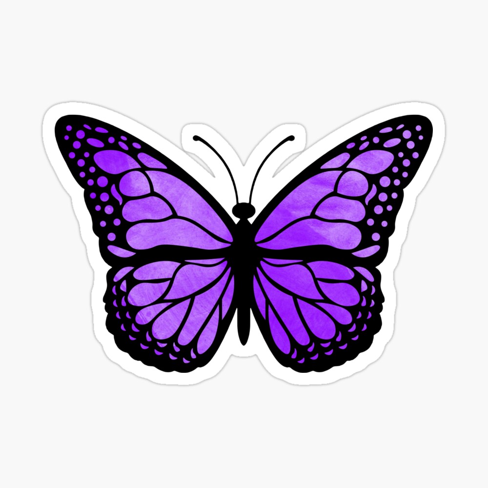 purple butterfly picture