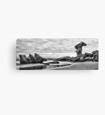 Mars ii B&W Canvas Print