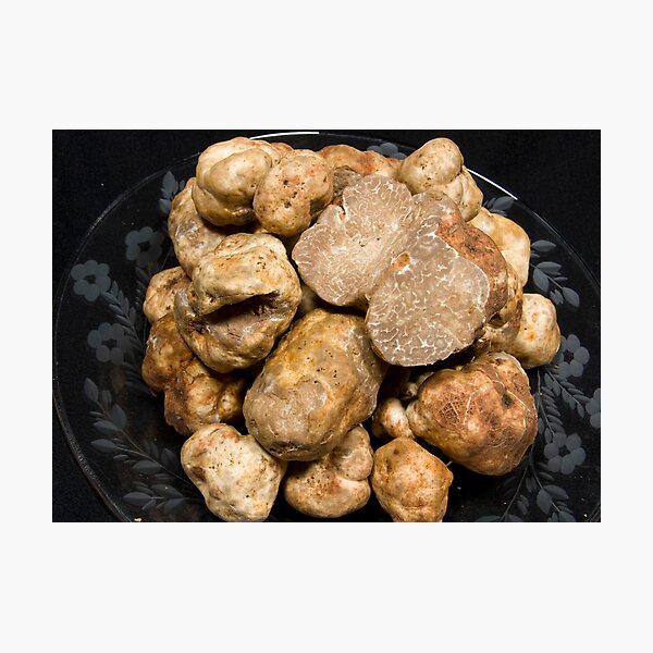 Item preview, Oregon White Truffles designed and sold by OrPhotoJohn.