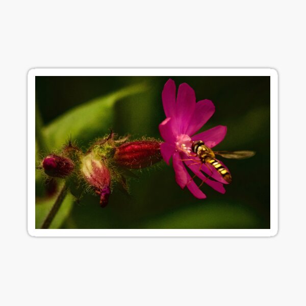 HOLD ONTO THE FLOWERS Sticker