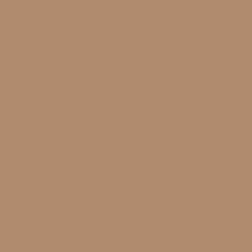 Artwork thumbnail, PLAIN SOLID LIGHT TAUPE - 100 SHADES OF BROWN BY OZCUSHIONS by ozcushions