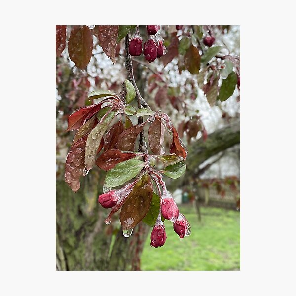 April in Kansas is Weird Photographic Print