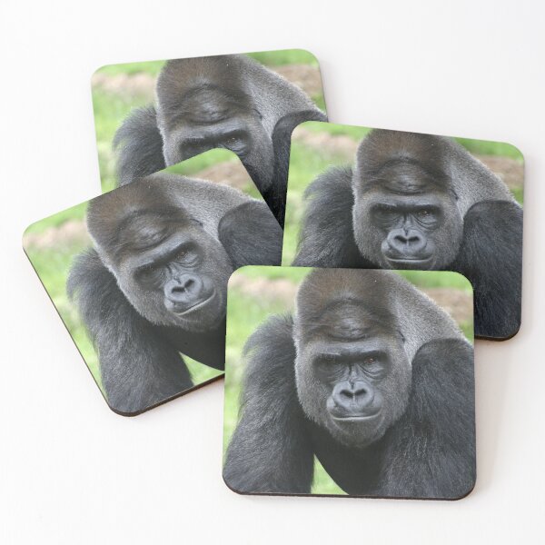 Item preview, Intimidating Silver Back Gorilla Stare designed and sold by Stretch Clendennen.