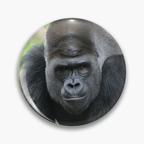 Artikelvorschau, Einschüchternder Silberrückseiten-Gorilla-Starren entworfen und verkauft von Stretch Clendennen.