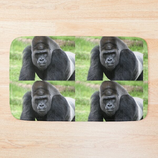 Item preview, Intimidating Silver Back Gorilla Stare designed and sold by Stretch Clendennen.