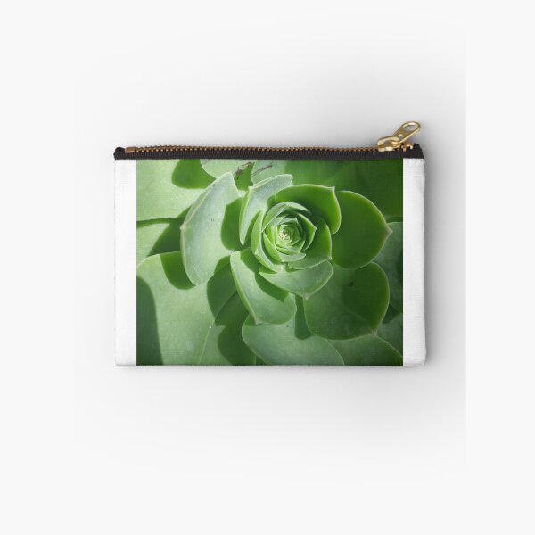 Item preview, Succulent designed and sold by SnazzyshopbyM.