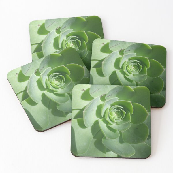 Item preview, Succulent designed and sold by SnazzyshopbyM.
