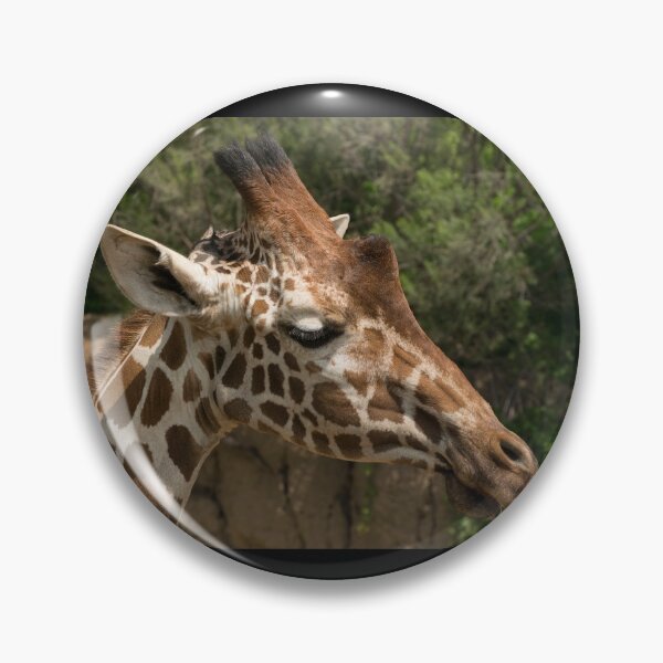 Item preview, Closeup of Reticulated Giraffe Head designed and sold by Stretch Clendennen.