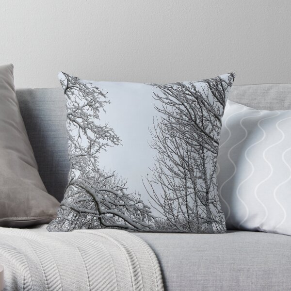 Winter Sky Throw Pillow