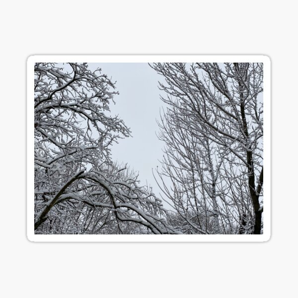 Winter Sky Sticker