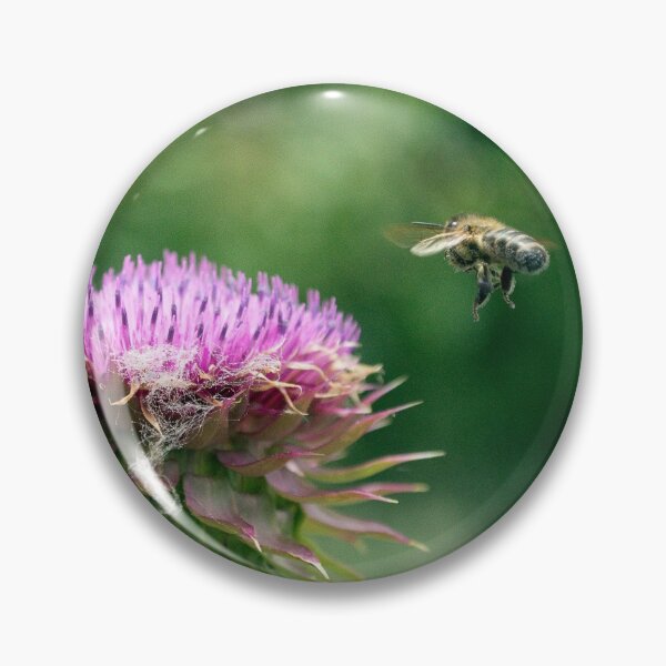 Item preview, Miel de abeja volando al lado de púrpura Cardo flor designed and sold by Stretch Clendennen.