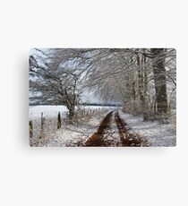 Bastogne Countryside, Belgium Metal Print