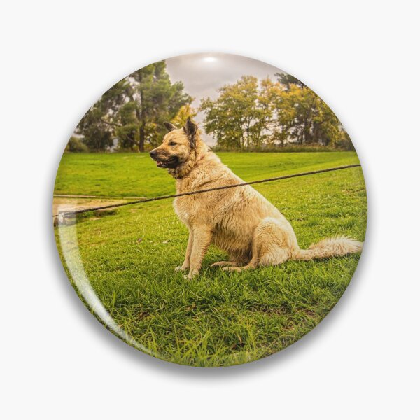 Item preview, Dog in Olympia designed and sold by KensLensDesigns.