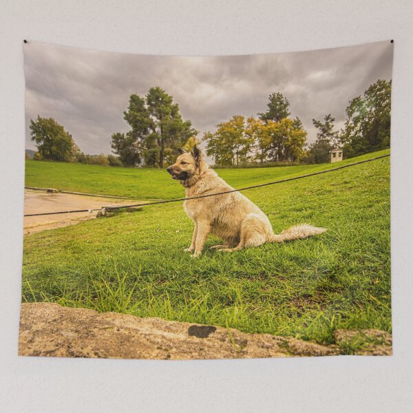 Item preview, Dog in Olympia designed and sold by KensLensDesigns.